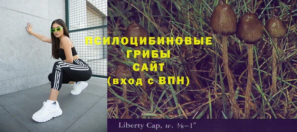 спайс Богородицк